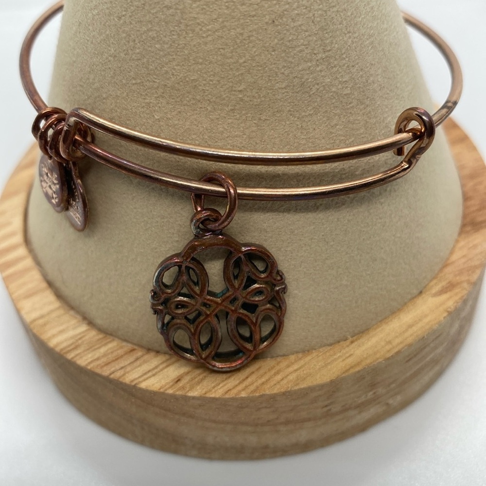 Alex and Ani Path of Life Charm Bangle Bracelet